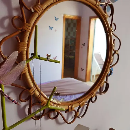 Gasthuis The Magic Dragonfly Santa Cruz de Tenerife