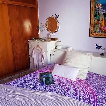 The Magic Dragonfly Gasthuis