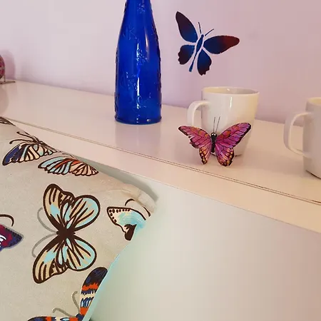 Gasthuis The Magic Dragonfly