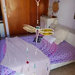 The Magic Dragonfly Santa Cruz de Tenerife