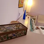 The Magic Dragonfly