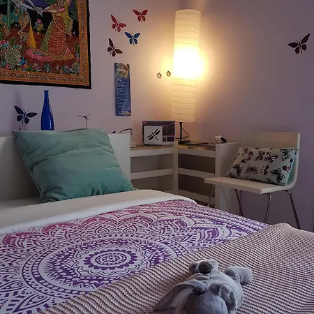 The Magic Dragonfly Penzion