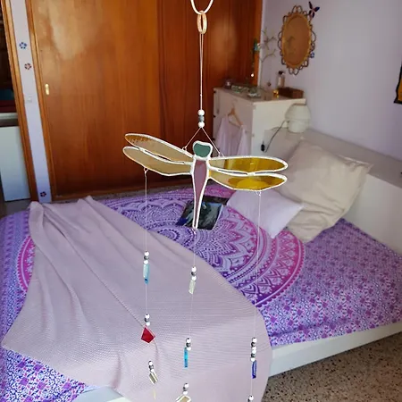 The Magic Dragonfly 圣克鲁斯-德特内里费