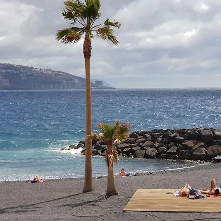 The Magic Dragonfly! Pensionat Santa Cruz de Tenerife