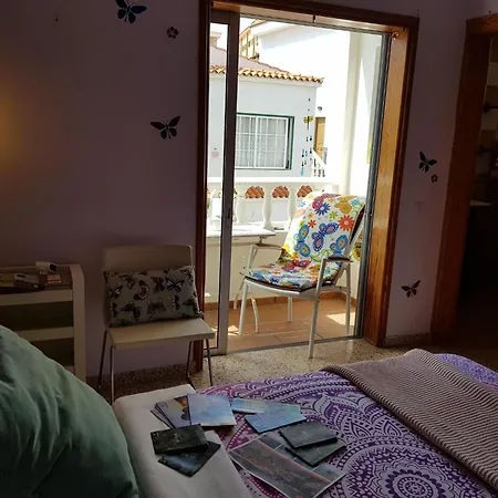 The Magic Dragonfly! Pensionat Santa Cruz de Tenerife