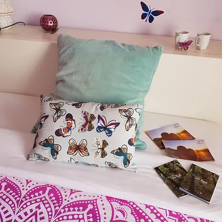 Guest house The Magic Dragonfly Santa Cruz de Tenerife