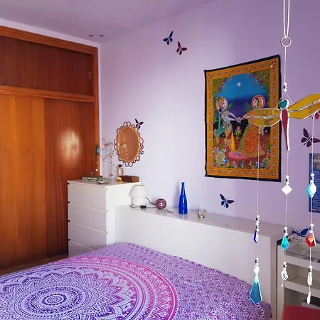 The Magic Dragonfly Santa Cruz de Tenerife