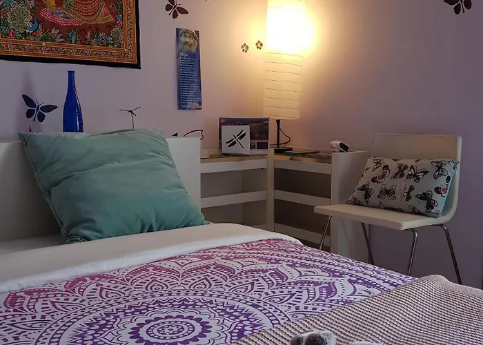 The Magic Dragonfly Πανσιόν